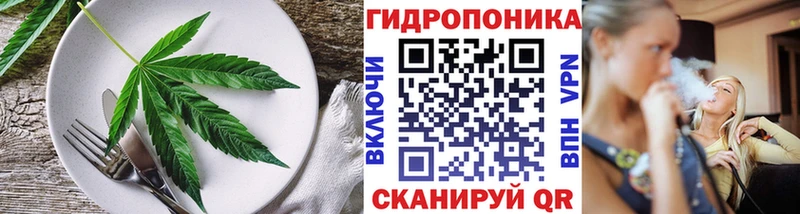 Cannafood марихуана  наркошоп  Ковылкино 