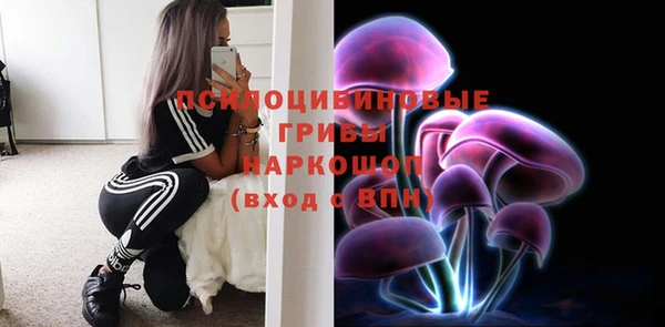 гидропоника Кирсанов