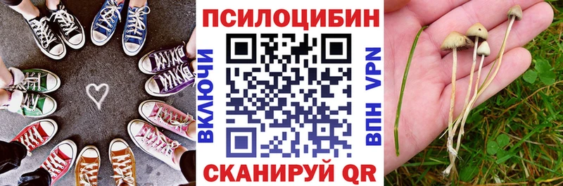 darknet как зайти  Ковылкино  Галлюциногенные грибы Cubensis 